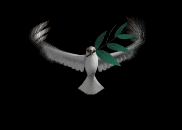 A Peace Dove with an Olive branch
