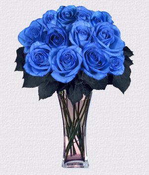 Blue Roses