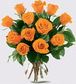 Orange Roses