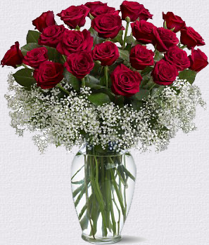 Red Roses