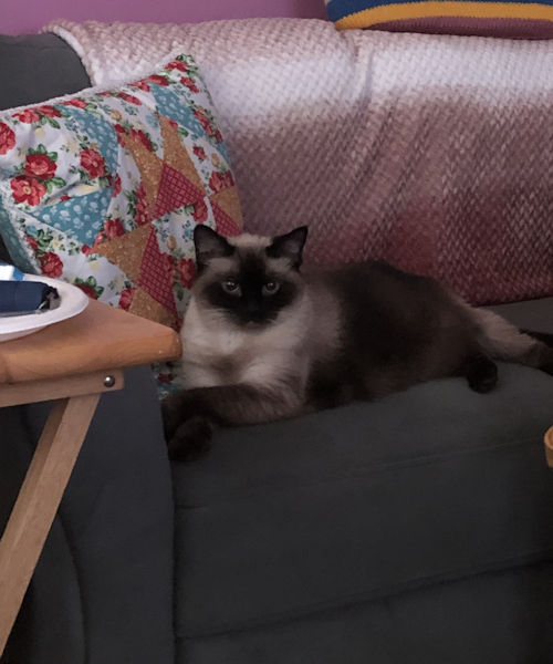 Linda and I drove from Louisville, ky to Monticello, ky, to pick her up.