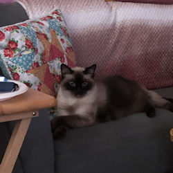 Linda and I drove from Louisville, ky to Monticello, ky, to pick her up.