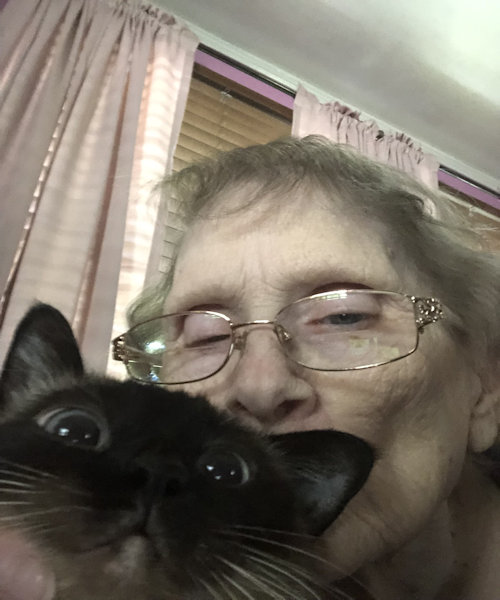 Linda really loves Lay Cee Lee